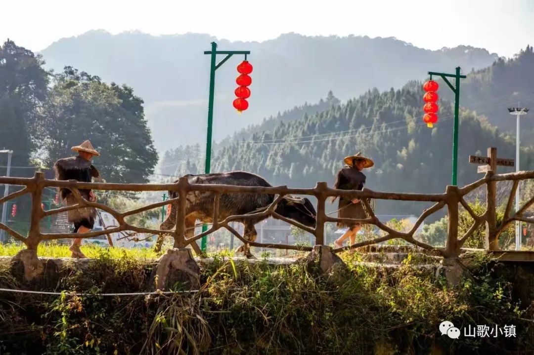 待到疫散花开，一都山歌小镇等你来