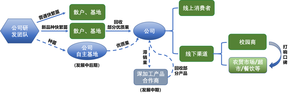 “产期精准调控”引领凤梨产业升级 助力乡村振兴