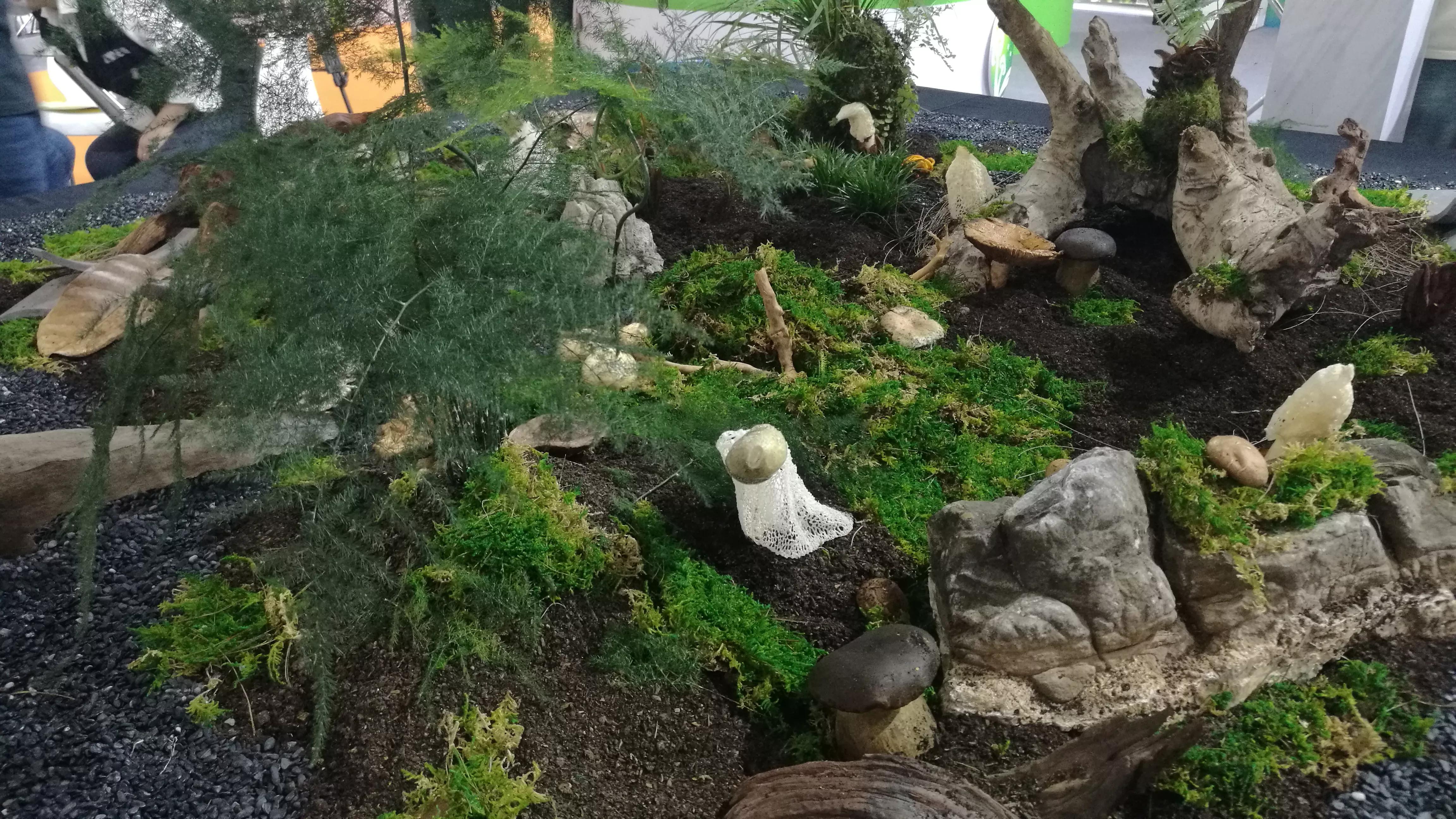 259家企业参展！第三届中国食用菌产业博览会在福州圆满落幕