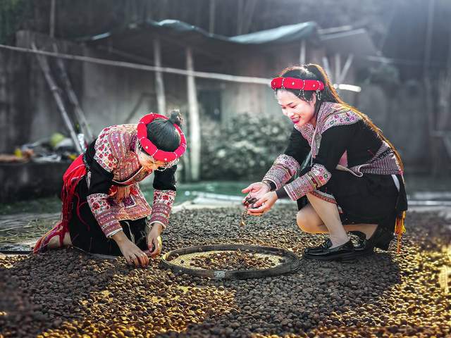 畲医药产业园发展全景纪实：从守护耕耘到产业腾飞